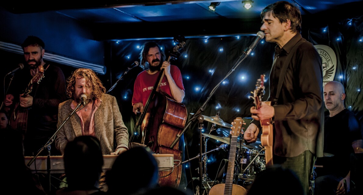 Hothouse Flowers colour 1 2025