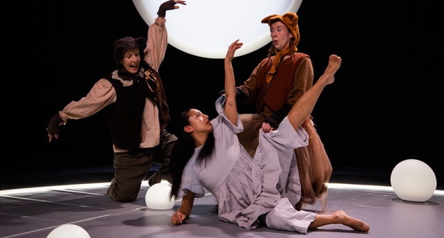 Promo 2 Moonlight Dreampromo Maiden Voyage Dance photo Ciaran Bagnall