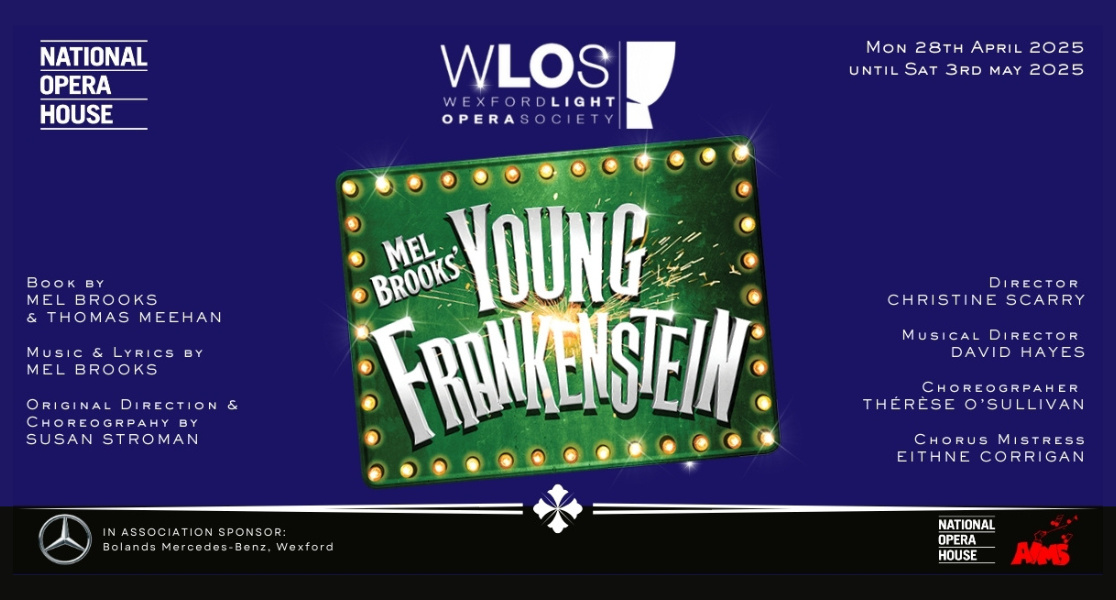 Young Frankenstein Banner
