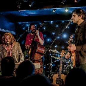 Hothouse Flowers colour 1 2025