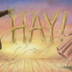 Whats On Hay