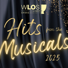 NOH Hits25 Whats On 300 240 px