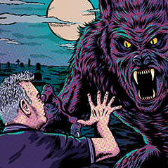 Stewart Lee 300 x 240 Wexford