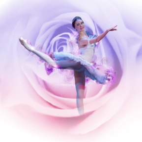 Sleeping beauty 27 image