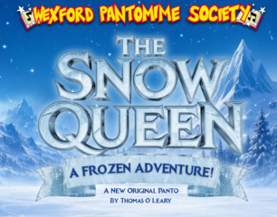 Webpage Banner 300 x 240 px Panto 2027