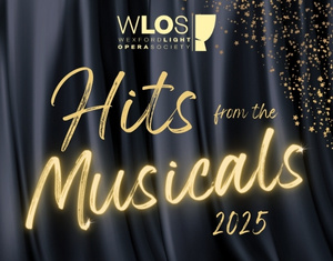 NOH Hits25 Whats On 300 240 px