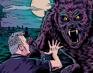 Stewart Lee 300 x 240 Wexford