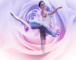 Sleeping beauty 27 image