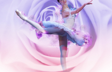 Sleeping beauty 27 image